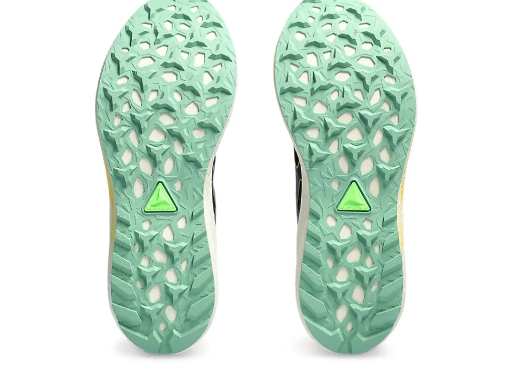 ASICS Fuji Lite 4-Men Running Shoes