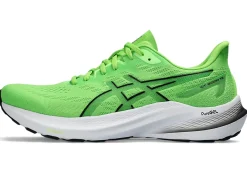 ASICS GT-2000 12-Men Overpronation|Running Shoes