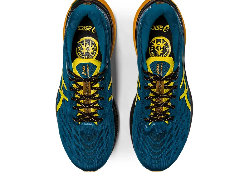 ASICS GT-2000 11 TR-Men Trail Running|Overpronation