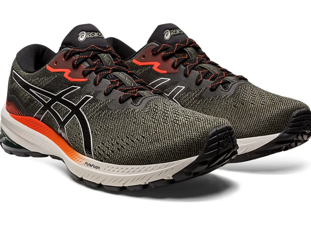 ASICS GT-1000 11 TR NATURE BATHING-Men Overpronation|Shoes Under $100