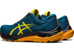 ASICS GT-2000 11 TR WIDE NATURE BATHING ROAD TESTED-Men Road Tested Footwear